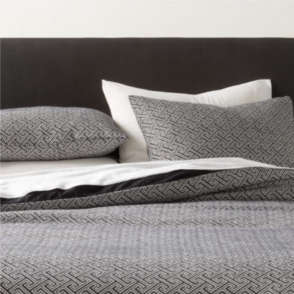 Set/2 CRATE & BARREL CB2 *Standard* Varra Organic Sham Covers Black & White